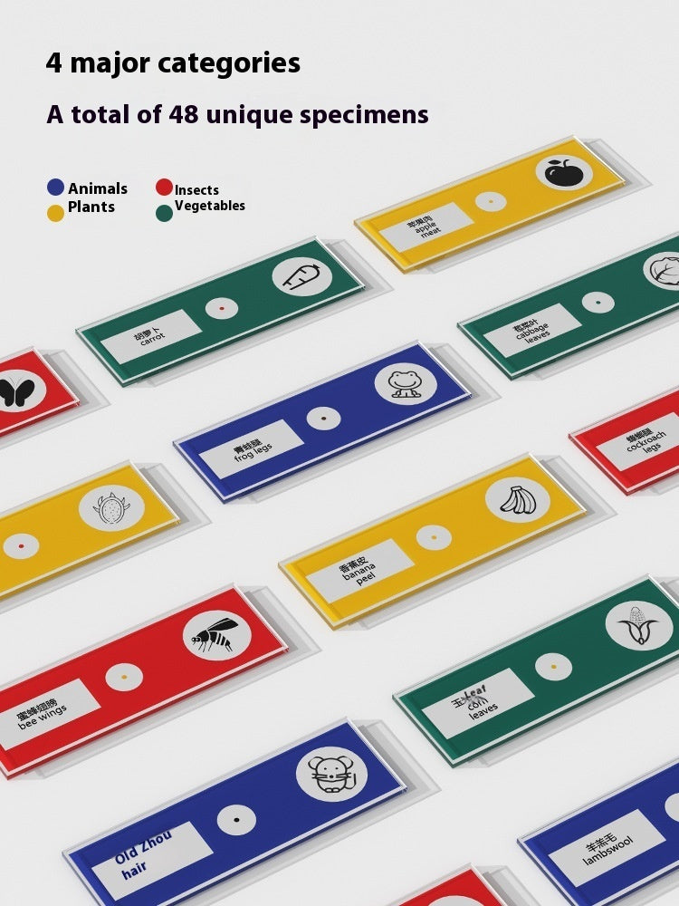 Microscope 1200 Times Professional Scientific Equipment Elementary School Educational Toys